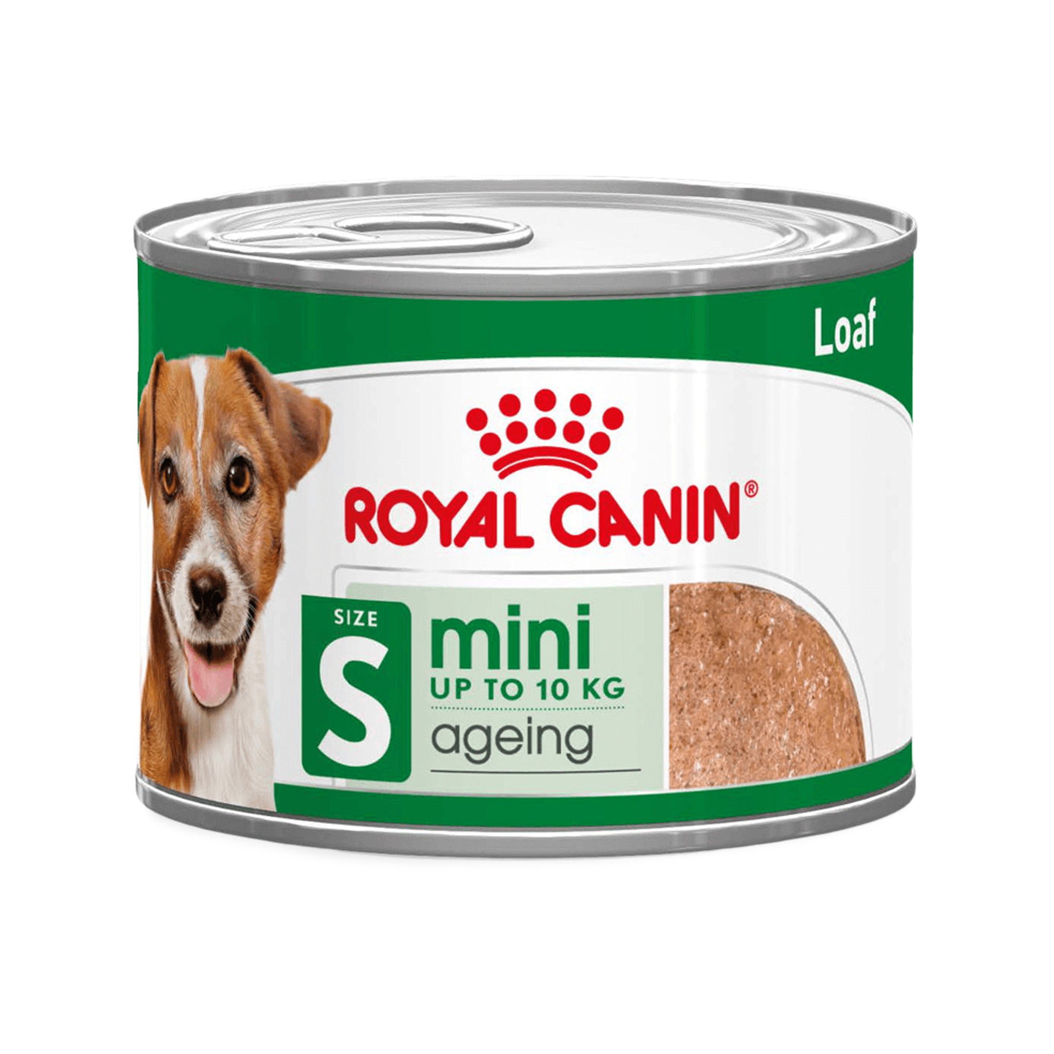 Royal Canin Mini Ageing Wet Dog Food Can