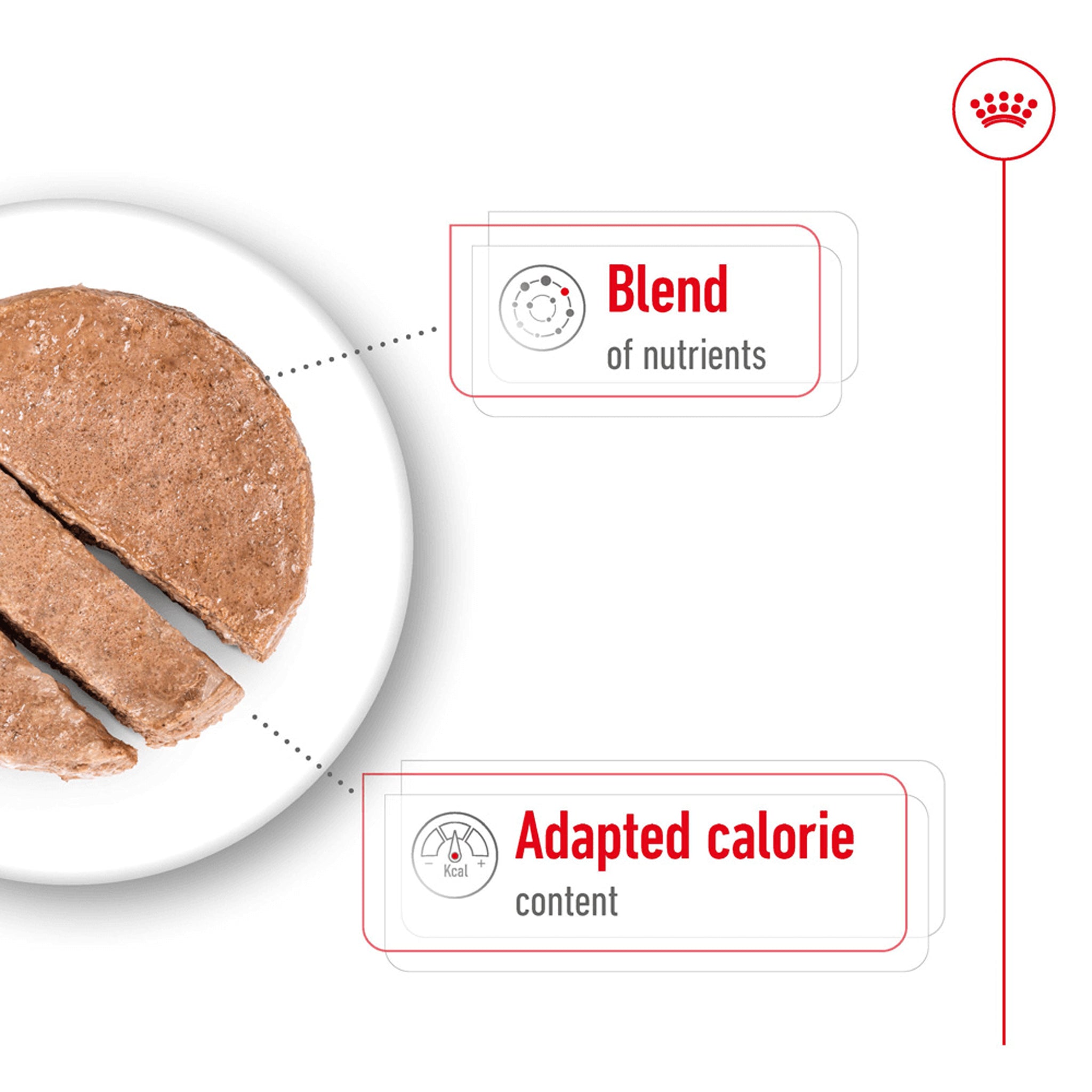 Royal Canin Mini Ageing Wet Dog Food Can