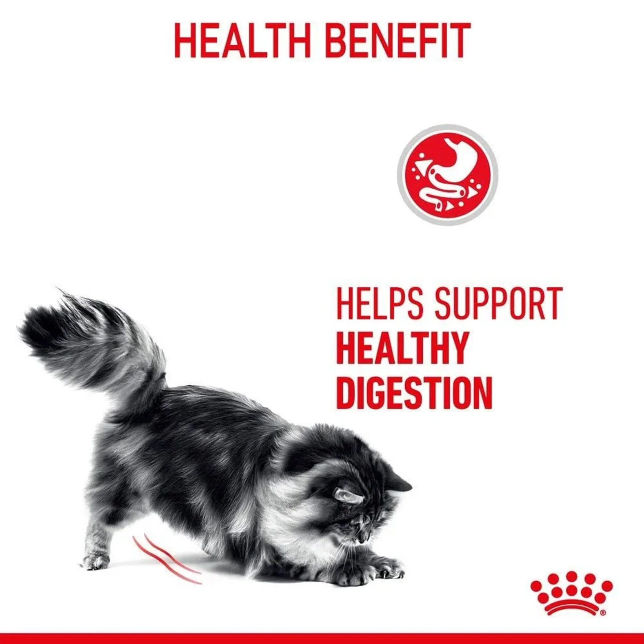 Royal Canin Cat Digestive Care Gravy 85gx12