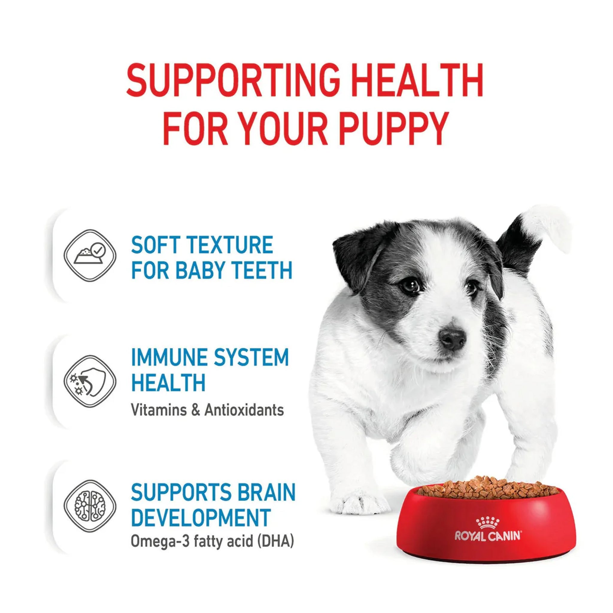 Royal Canin Dog Mini Puppy Pouches 85gx12