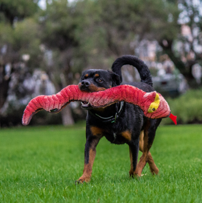 Ruff Play Dog Toy Plush Tuff Snake 76cm