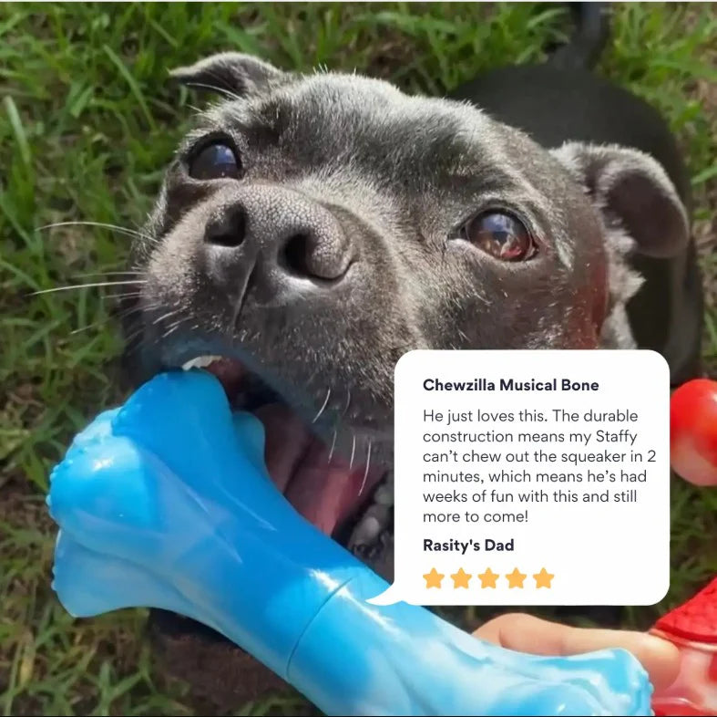 Happy Staffy Chewzilla Musical Bone