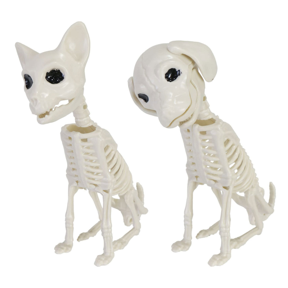 Sitting Animal Skeleton 19cm Assorted