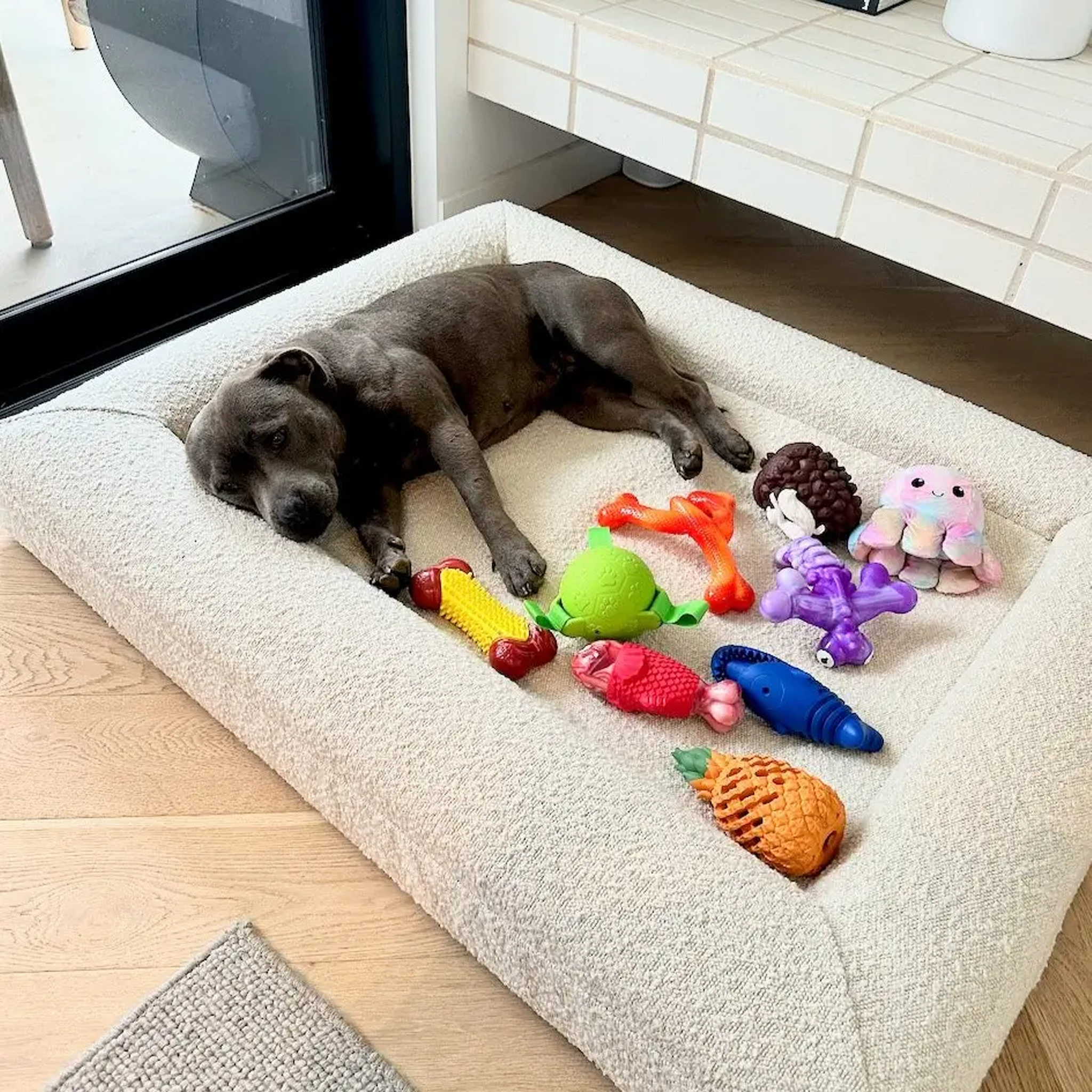 Happy Staffy Squeaky Fish