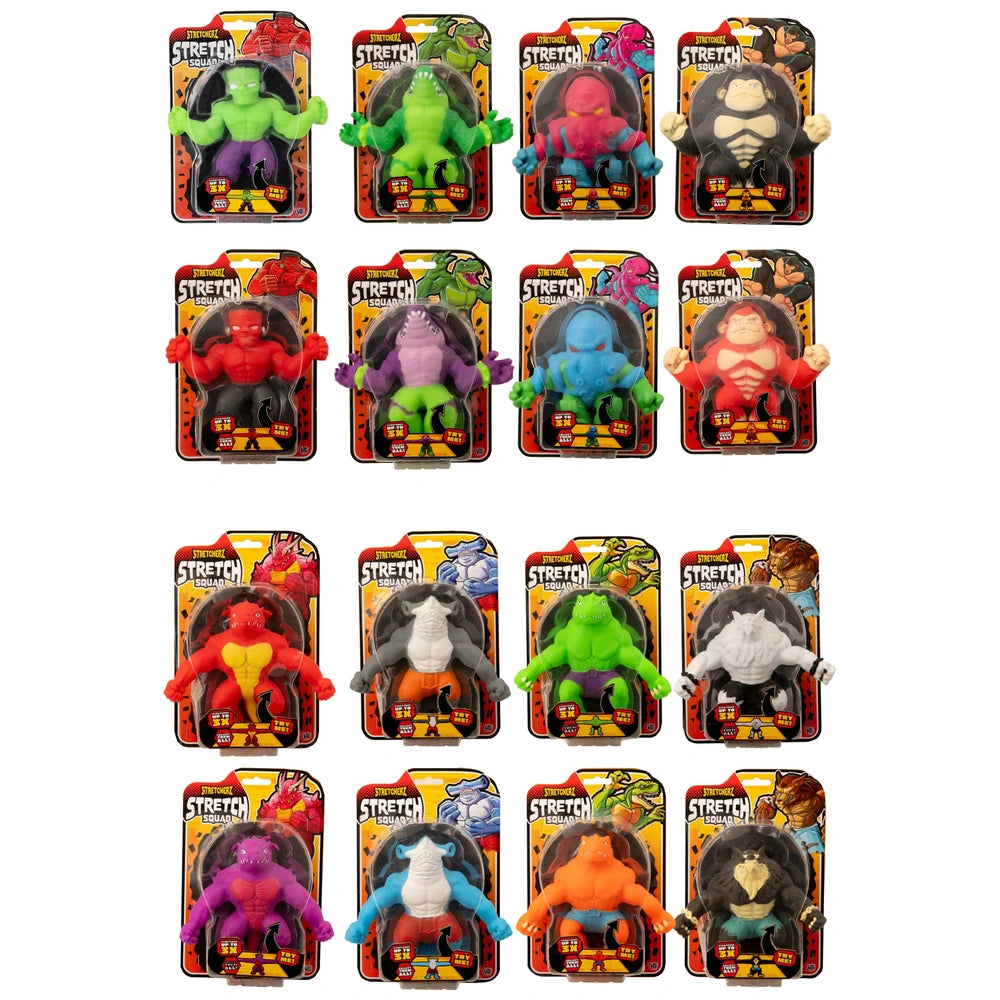 Stretcherz Stretch Squad assorted