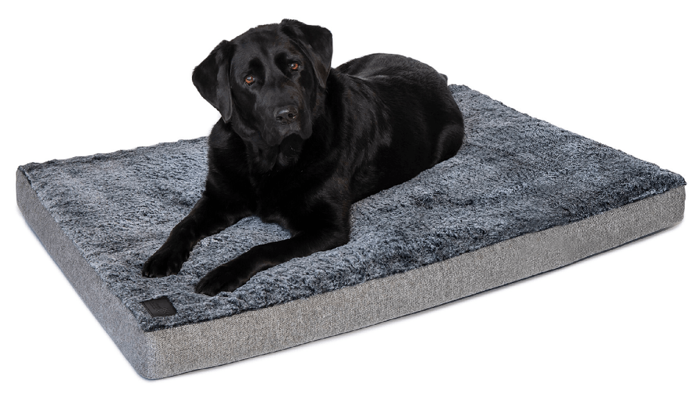 Ortho Dog Mat