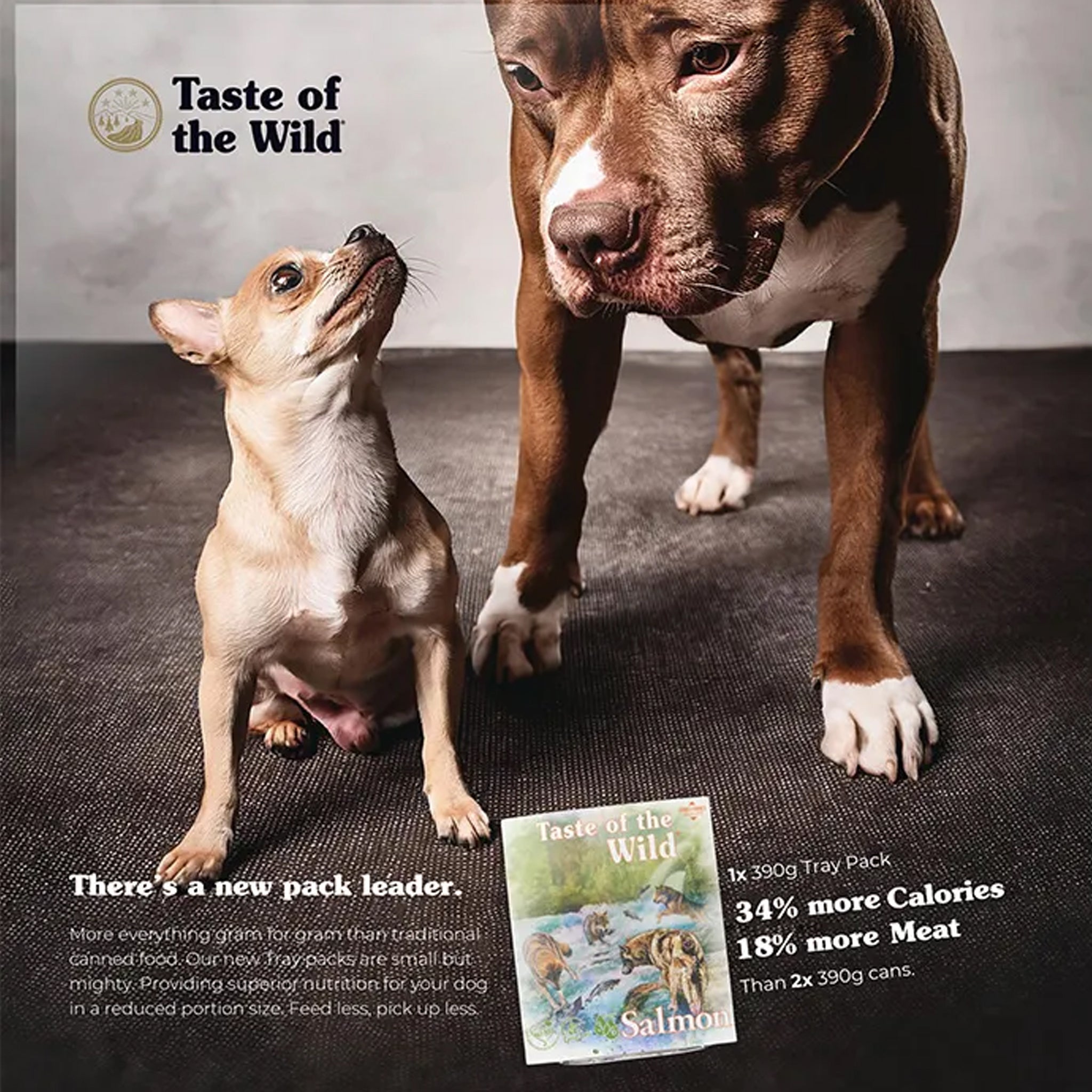 Taste Of The Wild Wet Dog Food Salmon and Herring 390g x 7