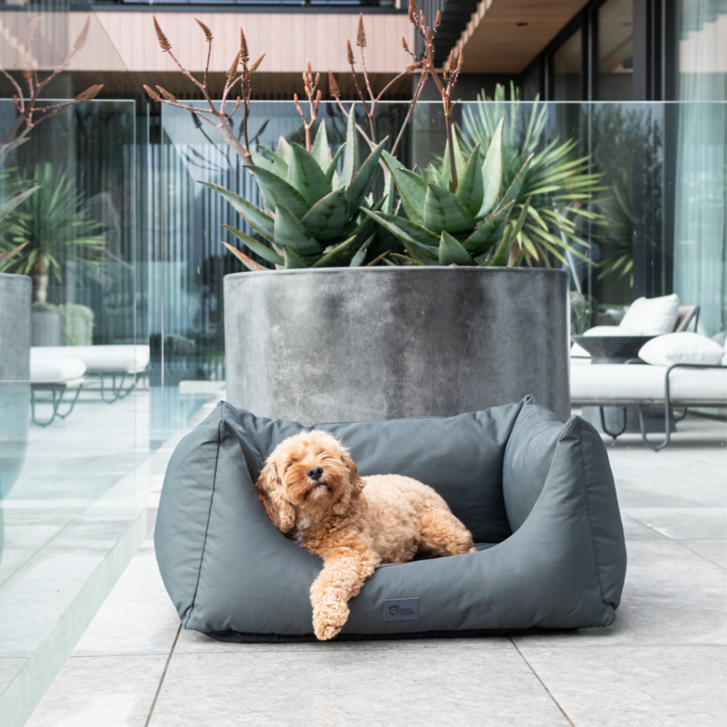 High Side Hideout Ortho Dog Bed