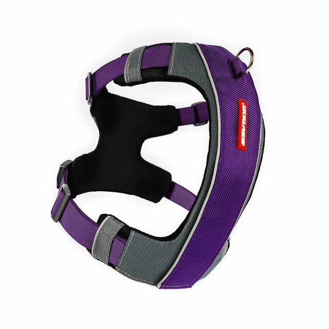 Ezydog harness outlet purple