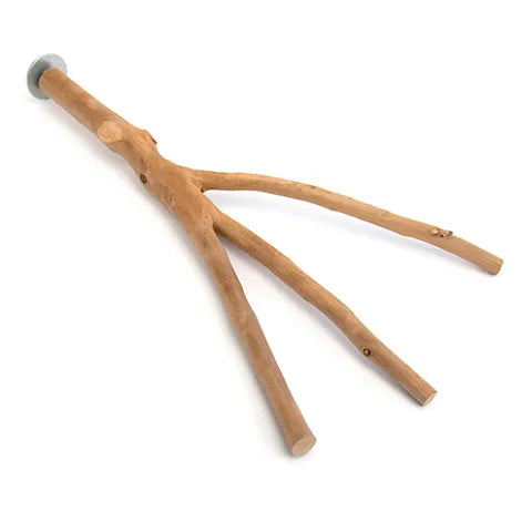 Bainbridge Bird Perch Multi Branch