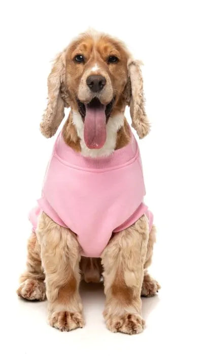 Fuzzyard Allday Sweater