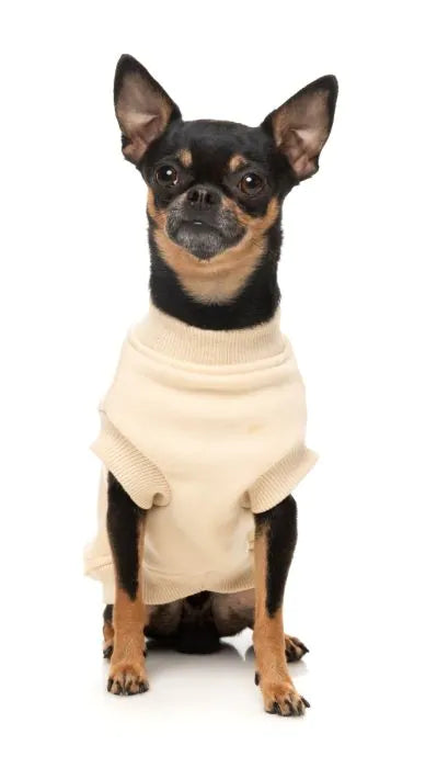 Fuzzyard Allday Sweater