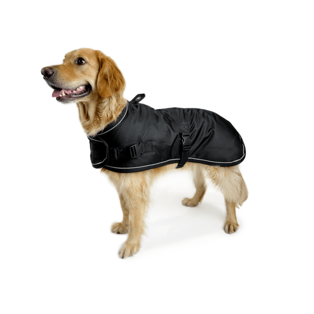 Huskimo Coat Summit pro