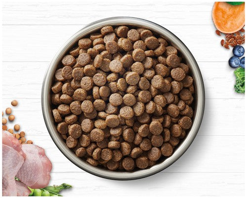 Ivory Coat Adult Cat Chicken