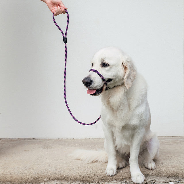 EzyDog Luca Rope Leash