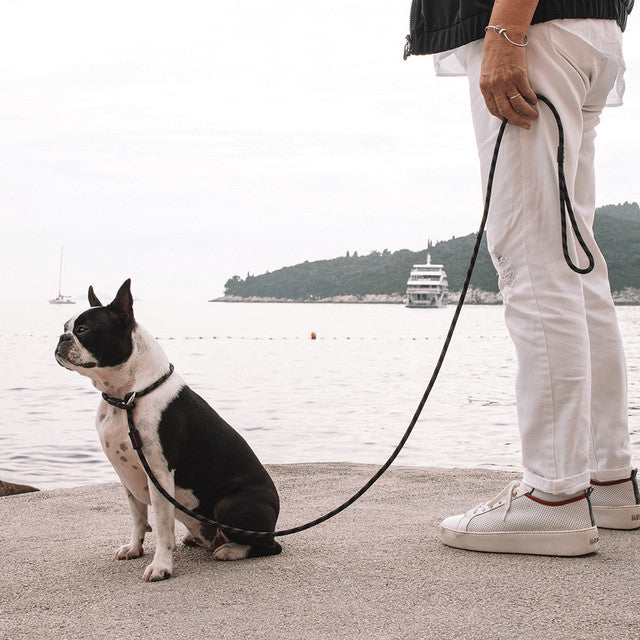 EzyDog Luca Rope Leash
