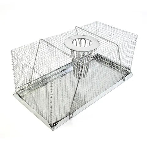 Bainbridge Mouse Trap Top Entry