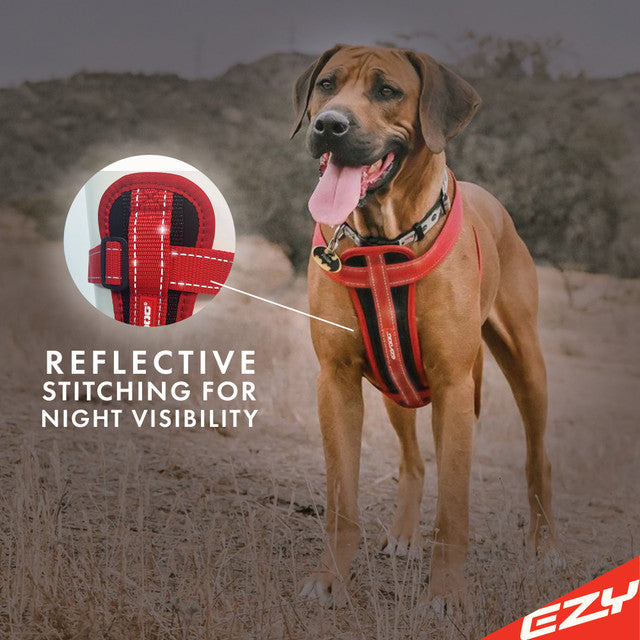 EzyDog Chest Plate Dog Harness