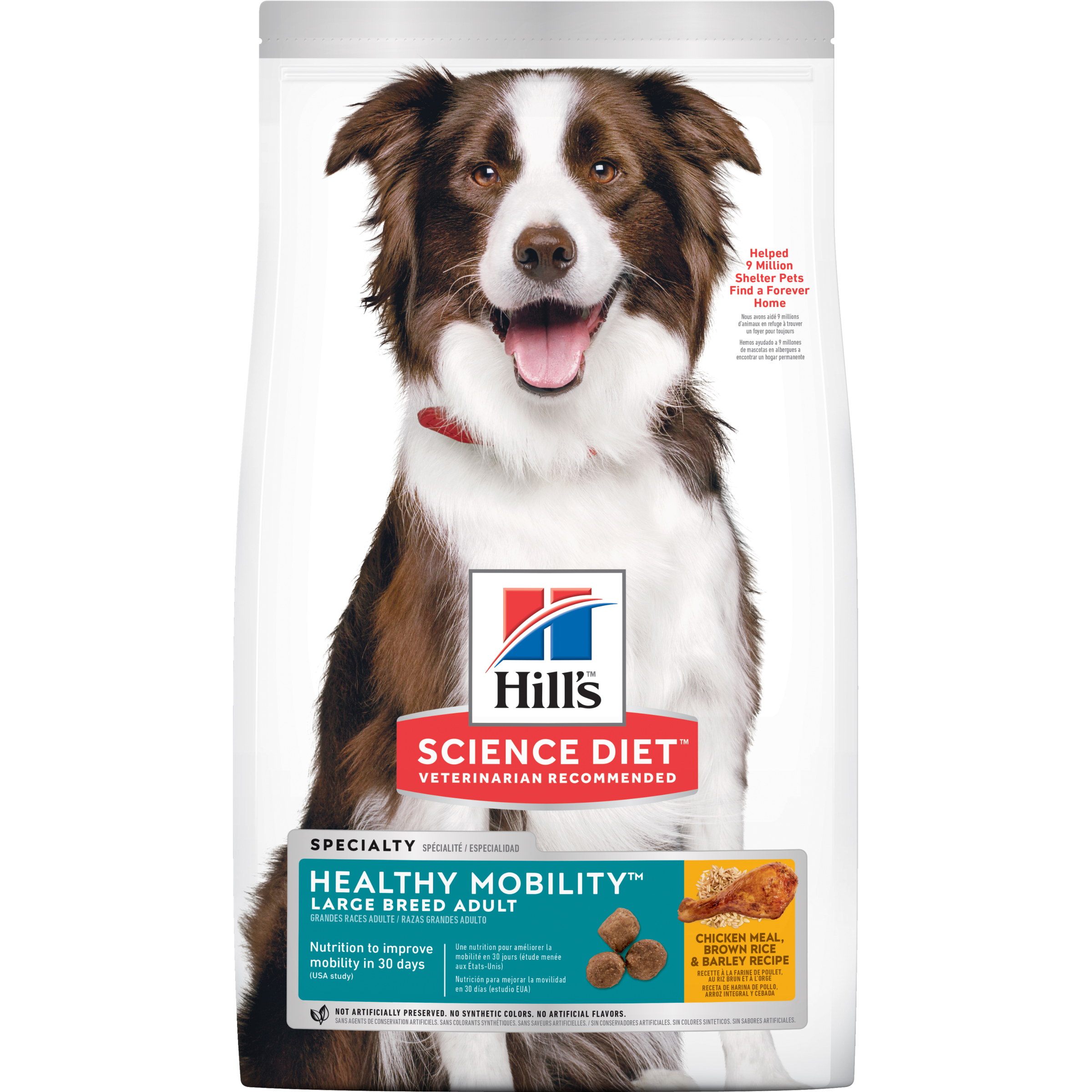 Hill's Adult Large Breed Healthy Mobility Dry Dog Food