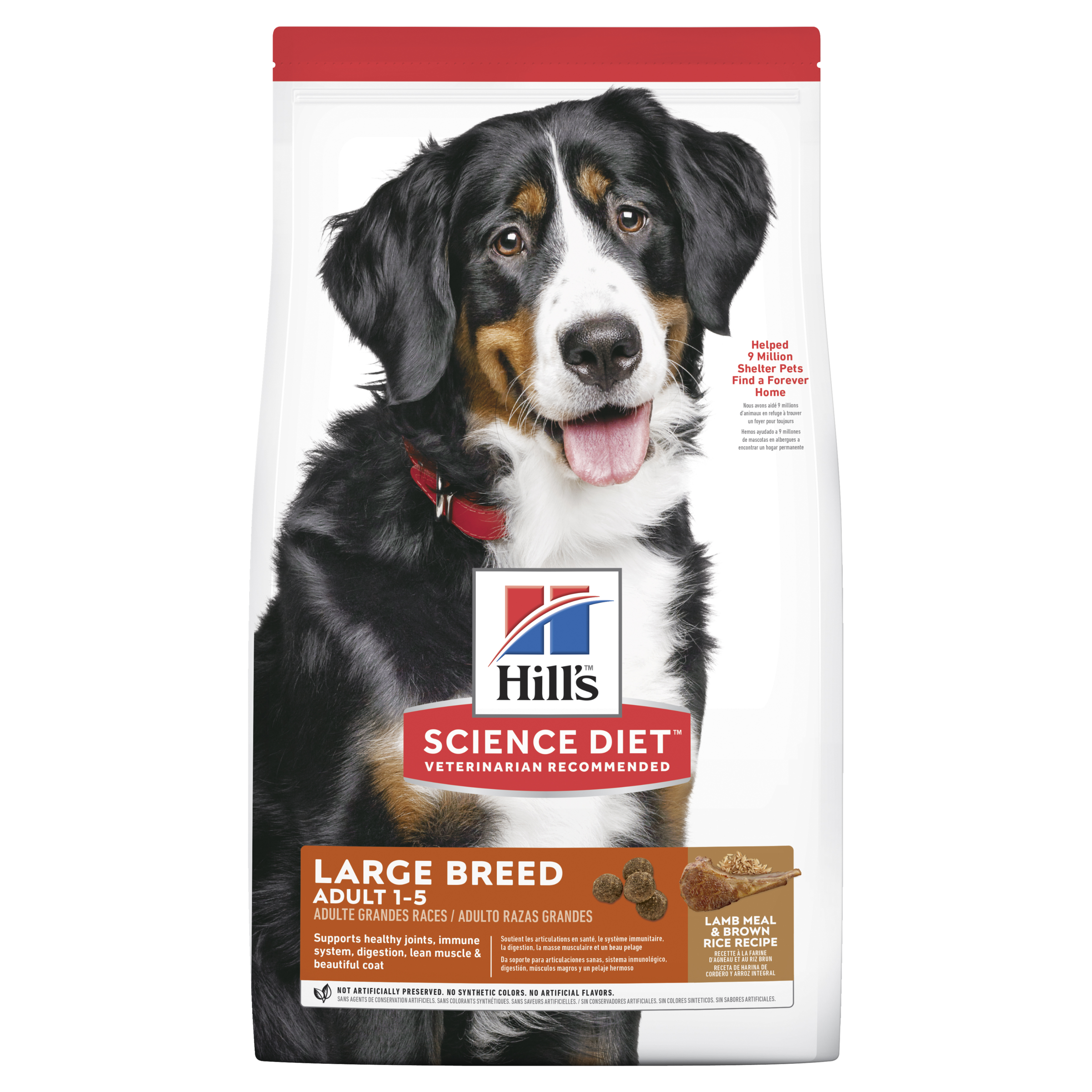 HILLS Dog Adult Large Breed Lamb & Rice