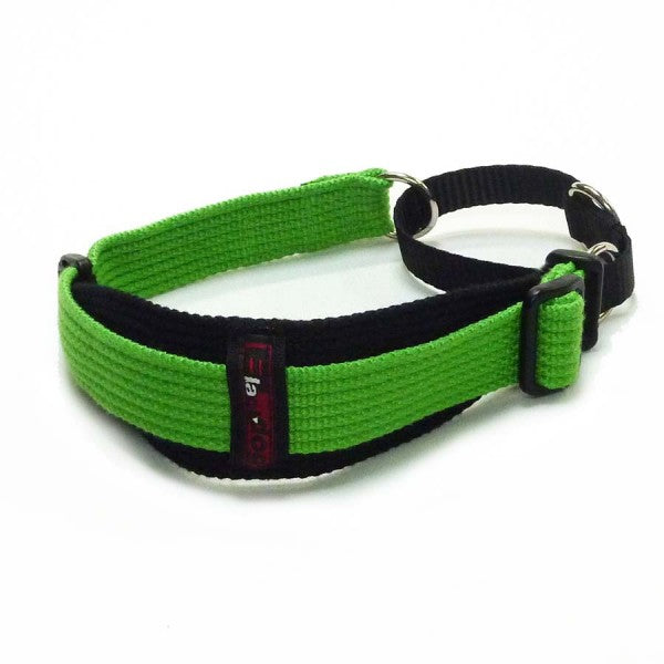Black Dog Wear Sighthound Collar Two Tone