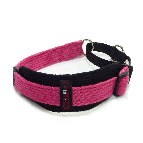 Black Dog Wear Sighthound Collar Two Tone