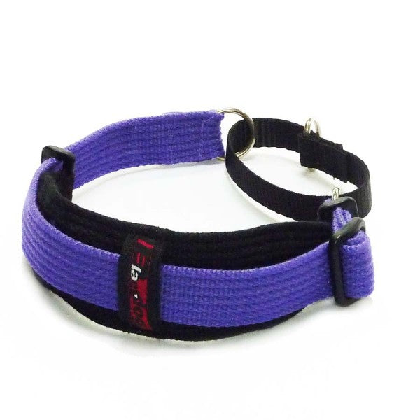 Black Dog Wear Sighthound Collar Two Tone