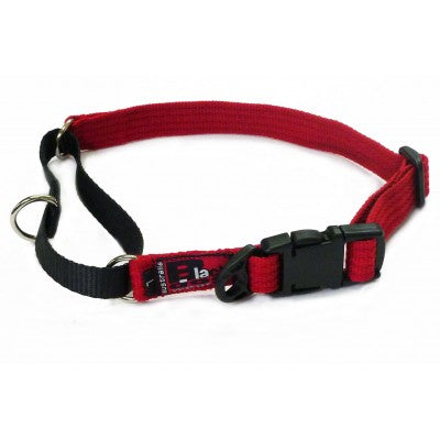 Black Dog Wear SS Training Collar