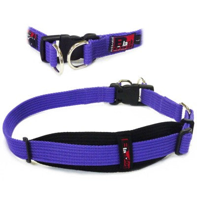 Black Dog Wear Tuffy Collar