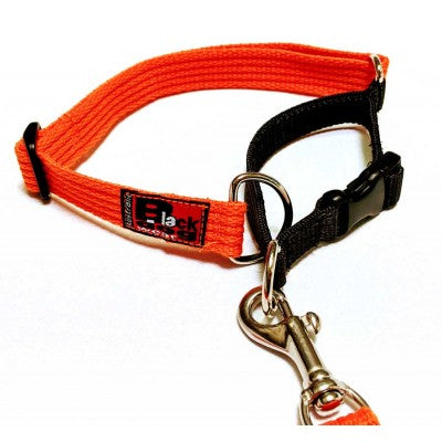 Black Dog Wear Limited Slip Collar