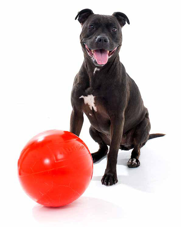 Aussie Dog Staffie Ball 240mm