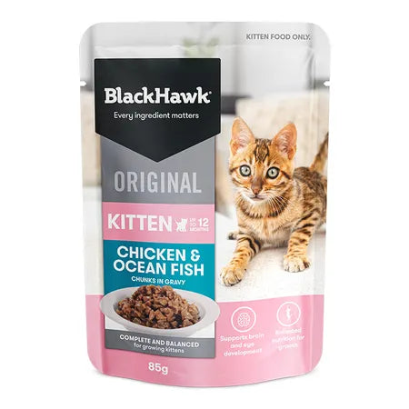 BLACK HAWK Kitten Chicken & Ocean Fish in Gravy 85g x 12pk