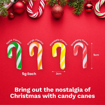 Candy Cane Mini Fruity Flavours 24pk