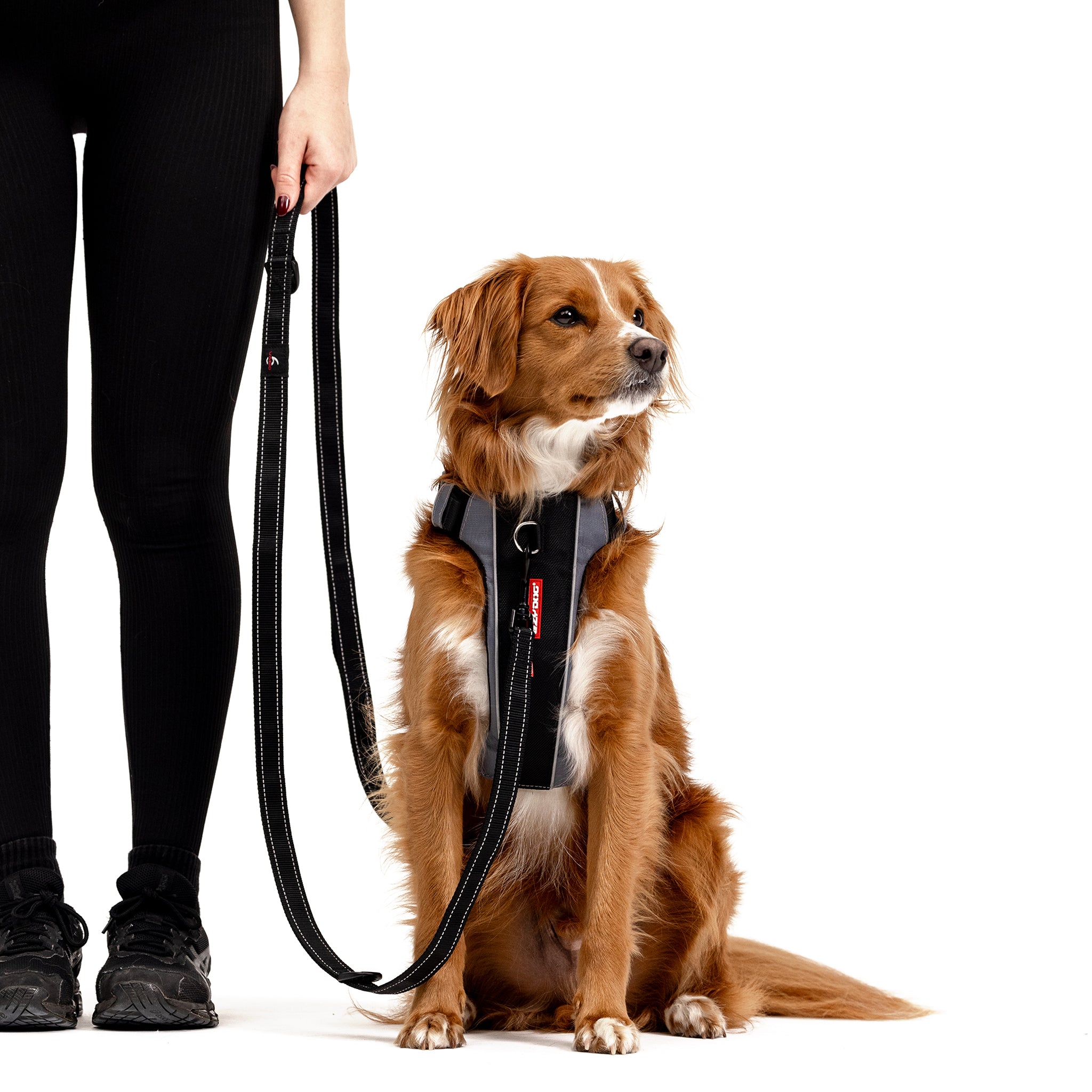 EzyDog Vario 6 Multi-Function Dog Leash
