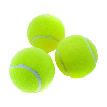 Tennis Balls In Canister 3pk