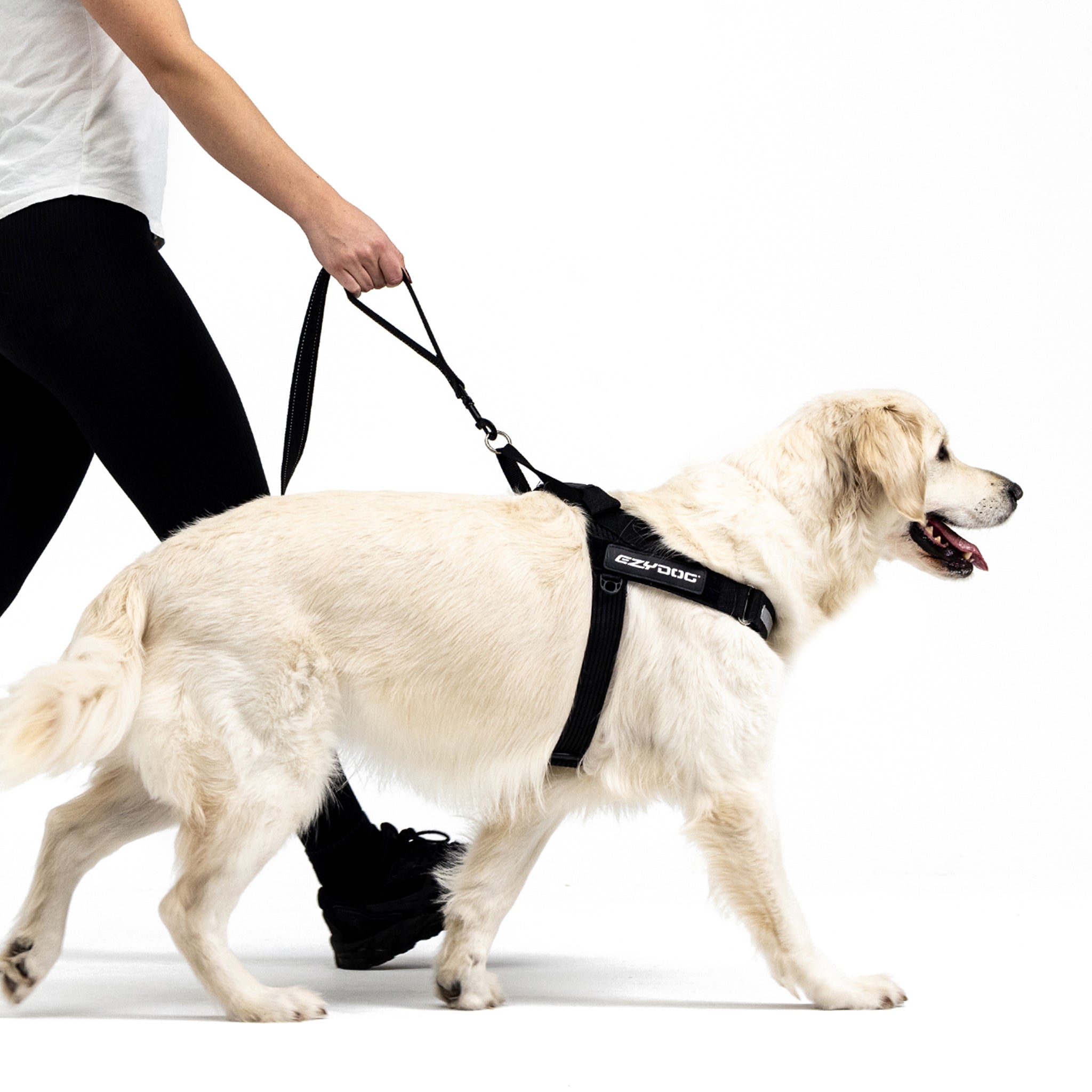 EzyDog Soft Trainer Dog Leash 180cm xx