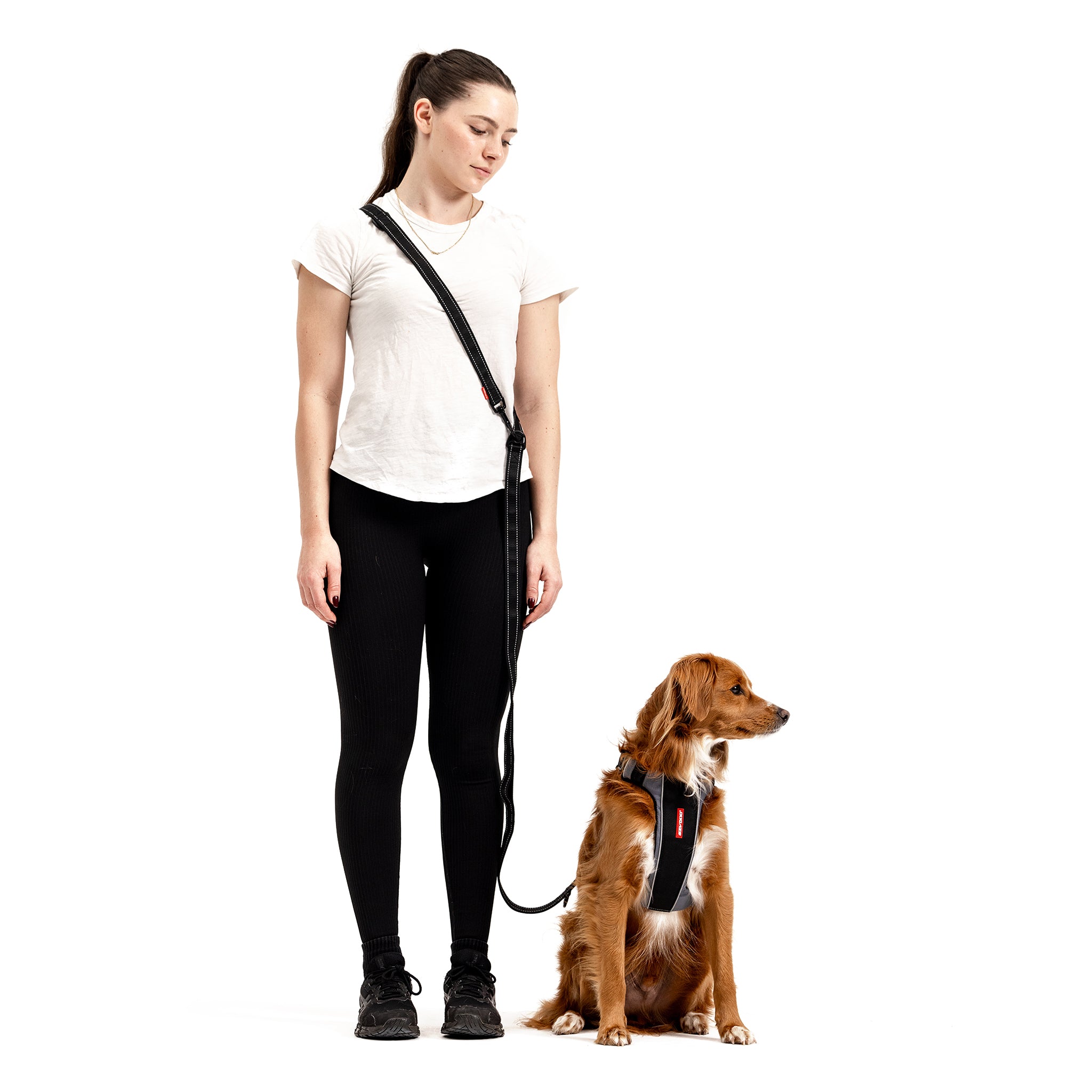 EzyDog Vario 6 Multi-Function Dog Leash