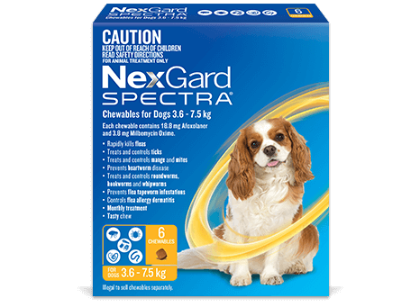 Nexgard Spectra Dog