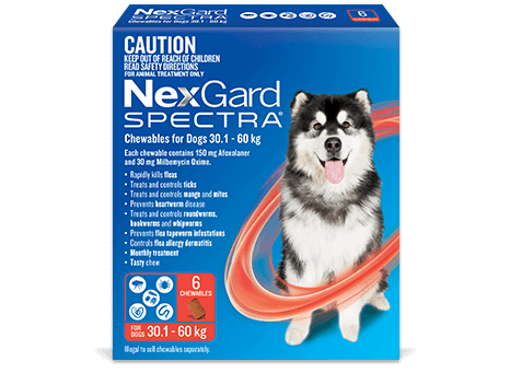 Nexgard Spectra Dog