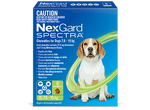 Nexgard Spectra Dog