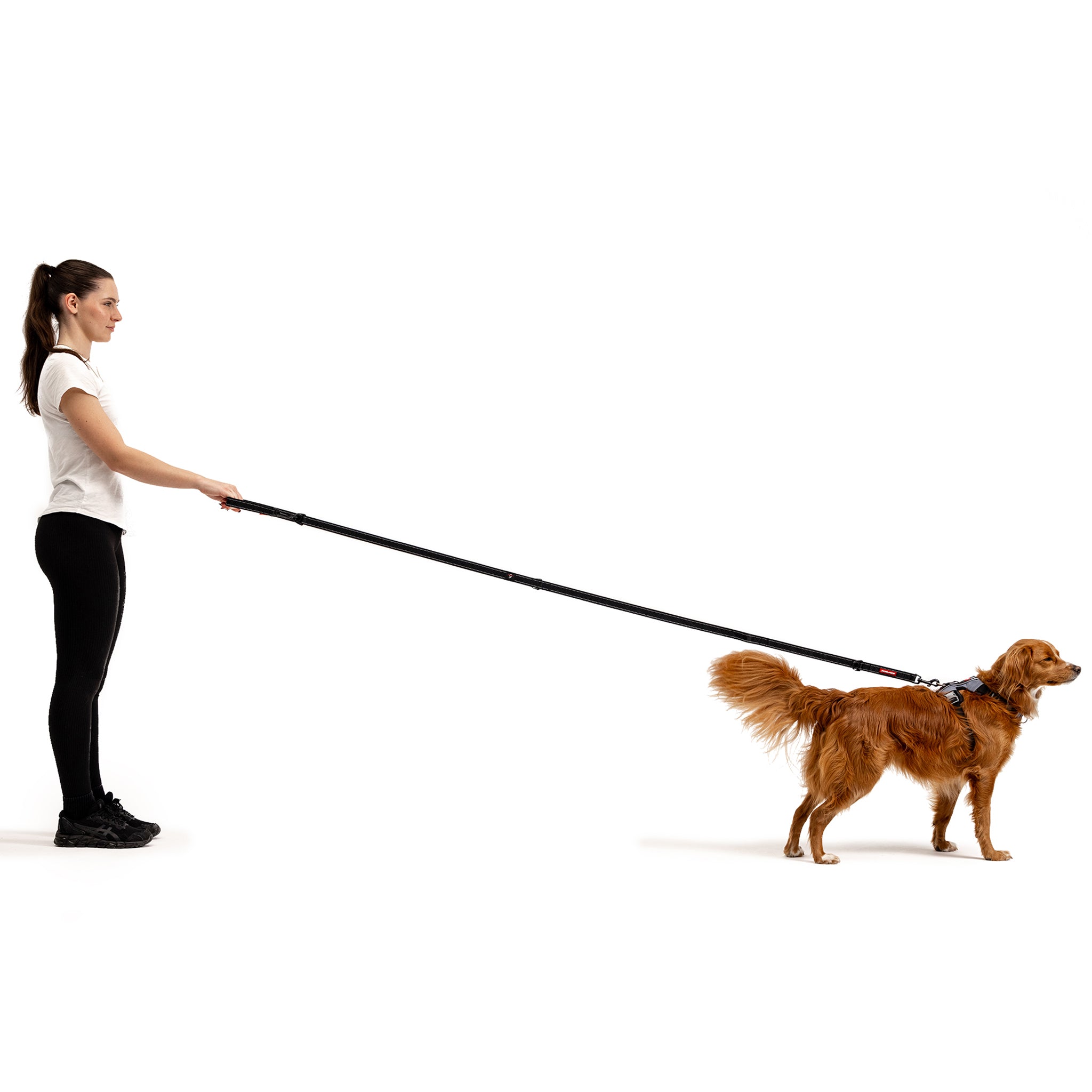 EzyDog Vario 6 Multi-Function Dog Leash