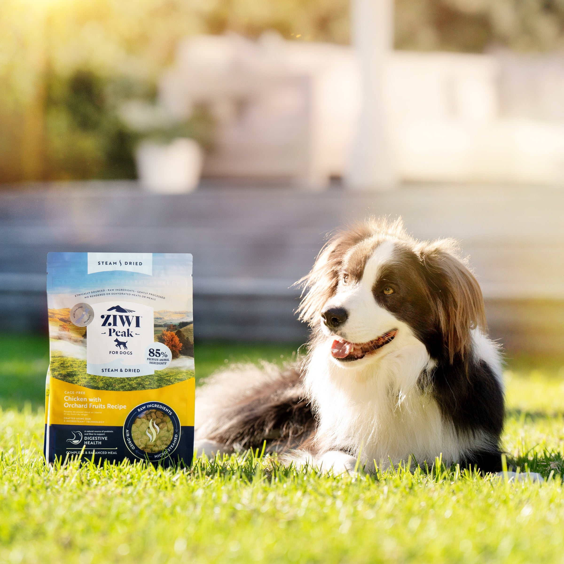Ziwi Peak Steam Dried Dog Food Chicken With Orchard Fruits