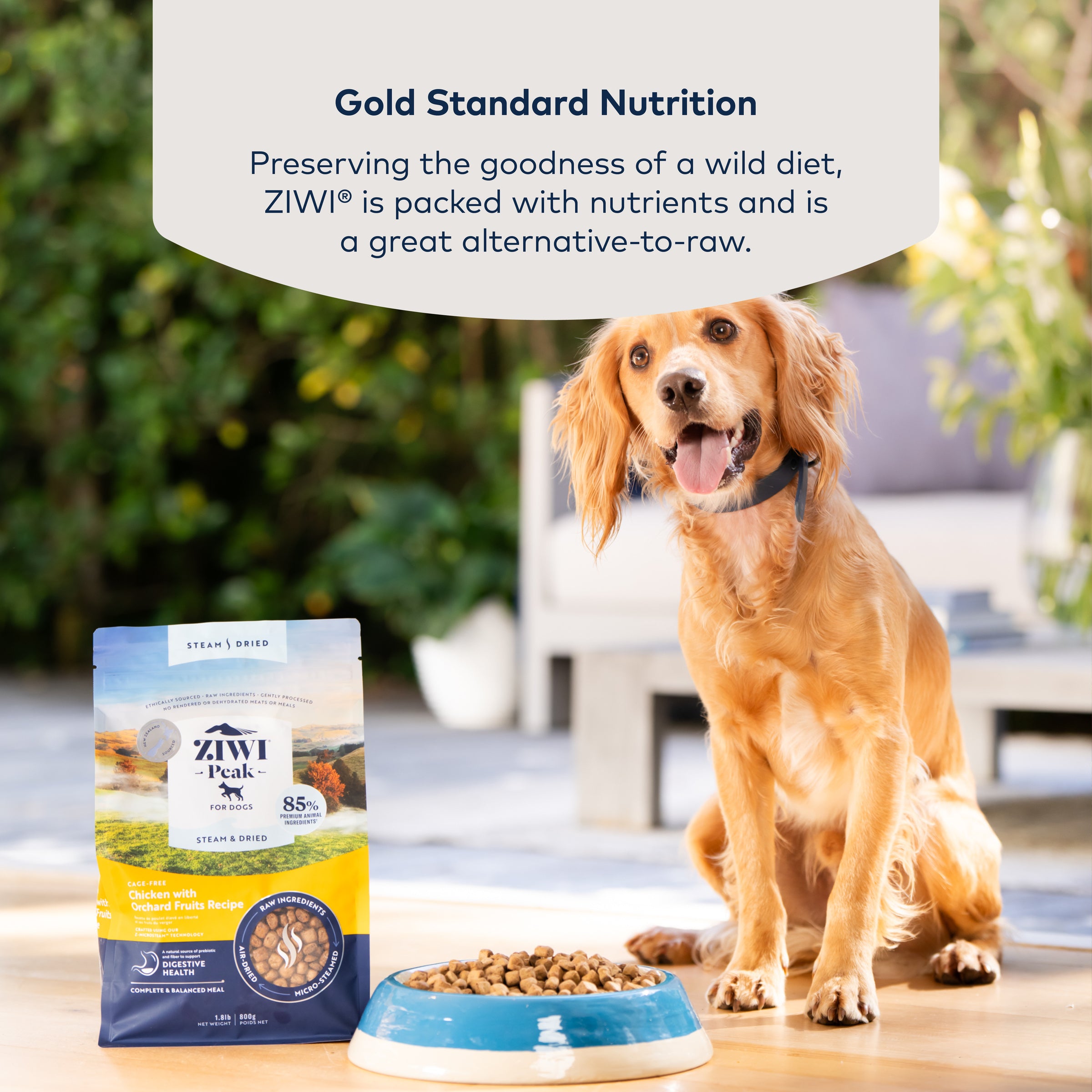 Ziwi Peak Steam Dried Dog Food Chicken With Orchard Fruits