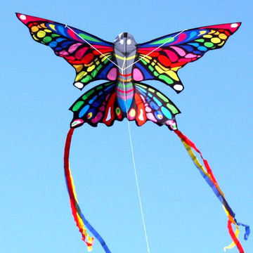 Kite - Rainbow Butterfly