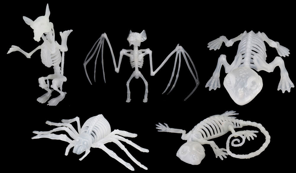Glow In The Dark Skeleton Animals Asst