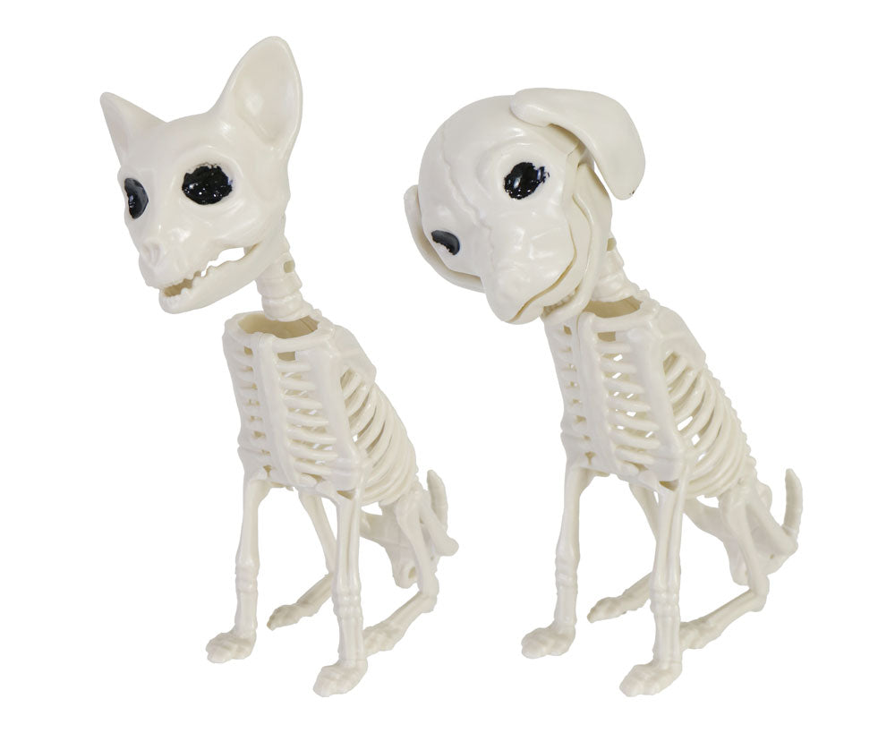 Sitting Animal Skeleton 19cm Asst