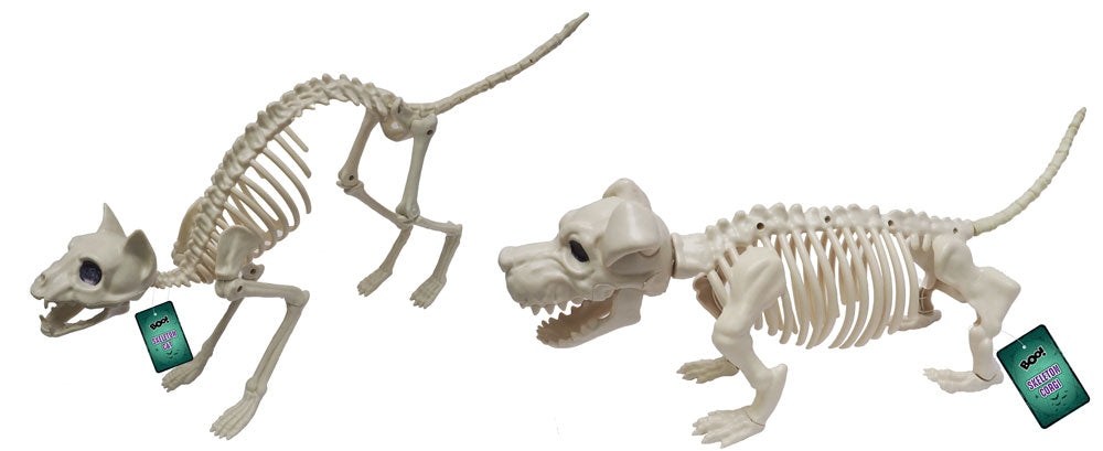 Skeleton Animal 27cm