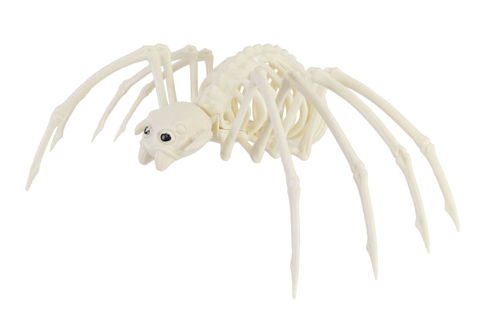 Skeleton Spider 38cm
