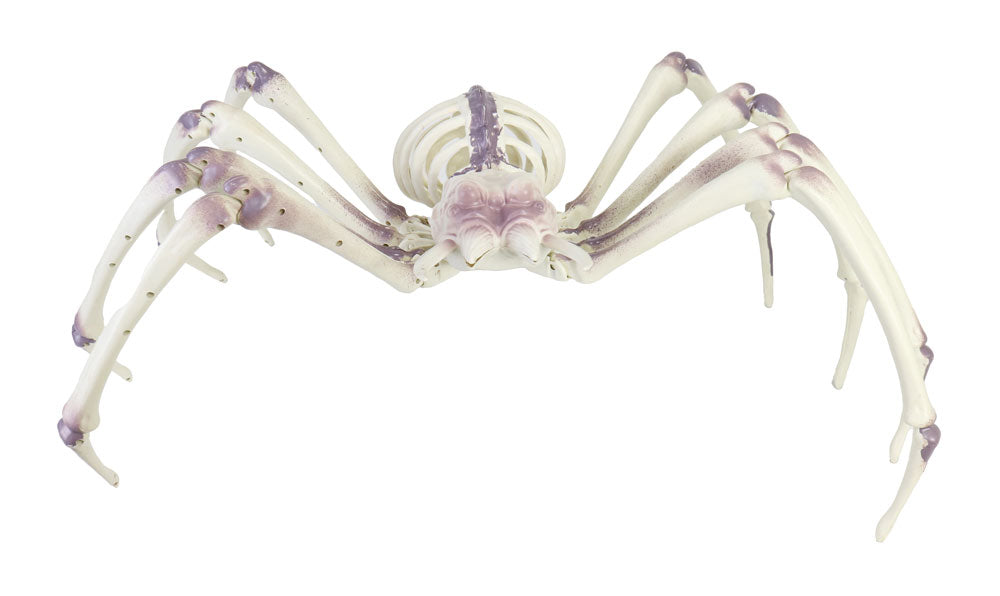 Skeleton Spider 80cm