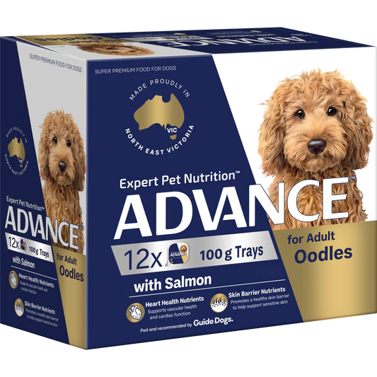 ADVANCE Oodles Adult with Salmon Trays 12 x 100g